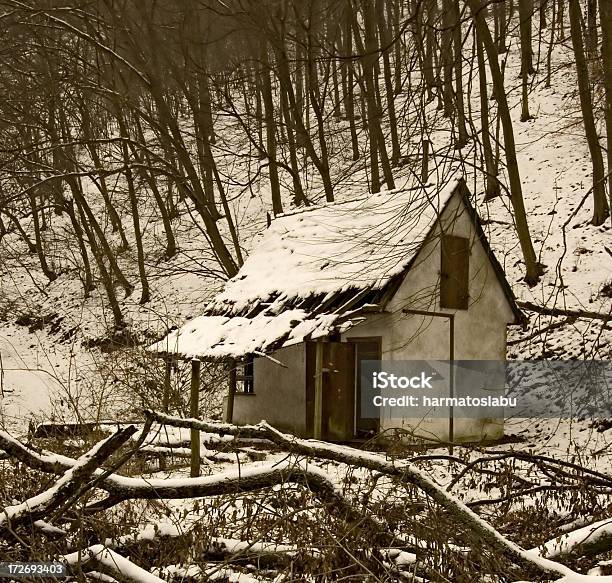 Fehlen Stockfoto und mehr Bilder von Armut - Armut, Schnee, Abbrechen