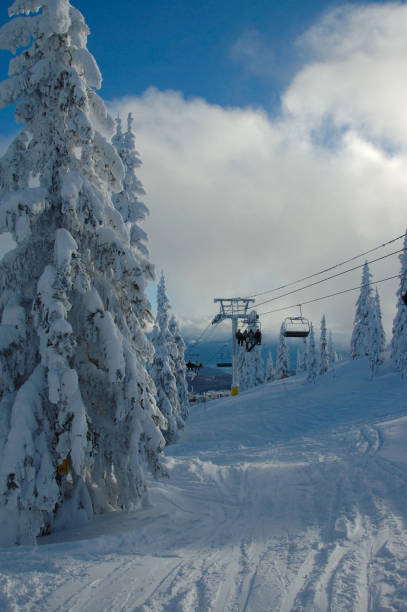 istock Chair lift in the trees 172693510