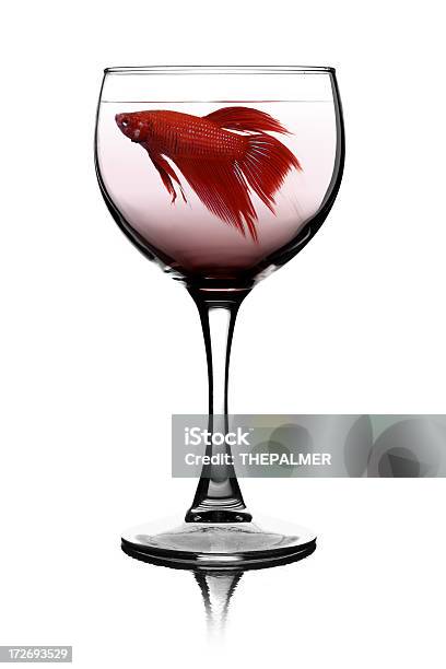 Rosso Z Twistem - zdjęcia stockowe i więcej obrazów Alkohol - napój - Alkohol - napój, Bojownik wspaniały, Czerwony