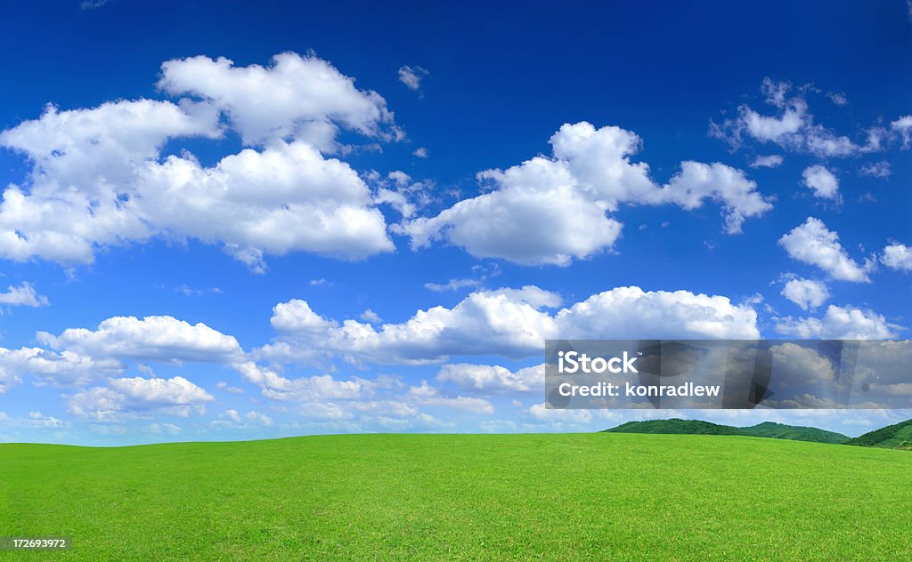 Paisagem de Campo Verde - Royalty-free Céu Foto de stock