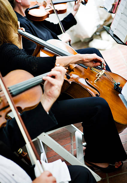 a tocar violino e chello - chello imagens e fotografias de stock