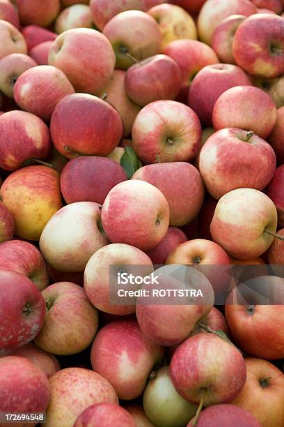 Jabłka - zdjęcia stockowe i więcej obrazów Cydr jabłkowy - Cydr jabłkowy, Czerwony, Dojrzały