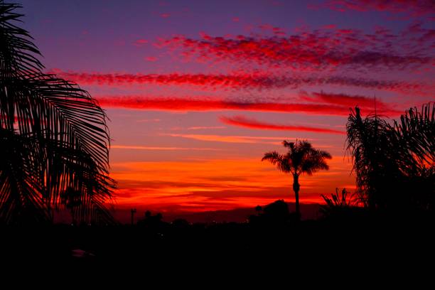 Pink and Orange Sunset