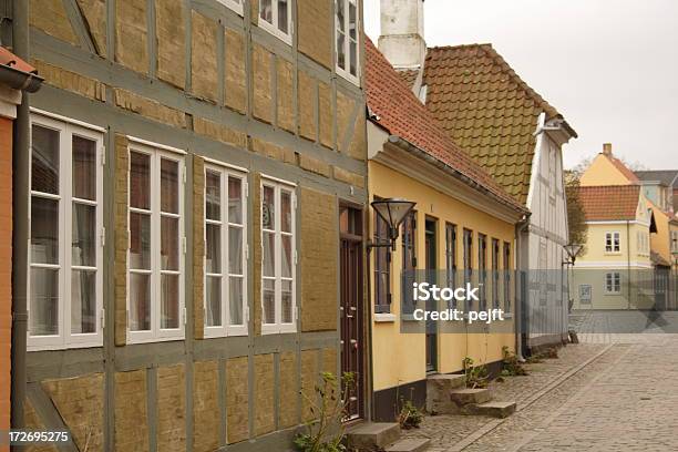 Hans Chrześcijanin Anderson Domu Miasto Odense - zdjęcia stockowe i więcej obrazów Bajka - Bajka, Brzydkie kaczątko, Budowla mieszkaniowa
