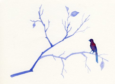 Painted blue watercolor bird and tree with nice paper texture.