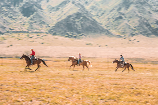 Cowboys and cow girls are riding horses. Beautiful nature in the back in Utah, USA.