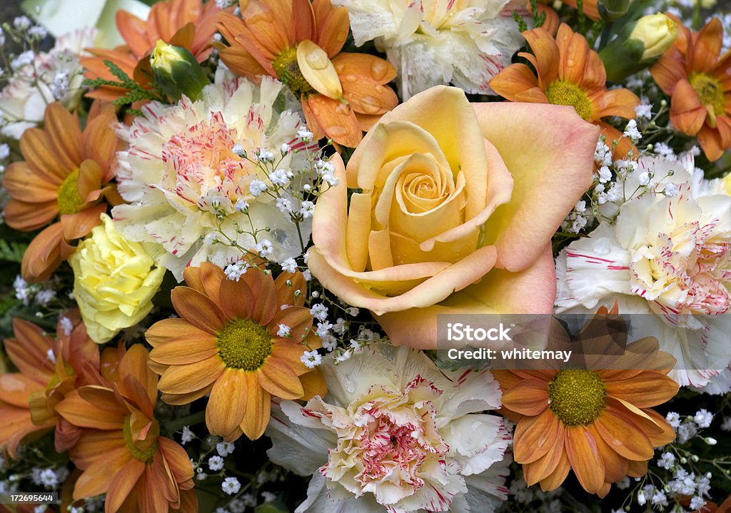 각각의 9월 꽃 - 로열티 프리 부케 스톡 사진