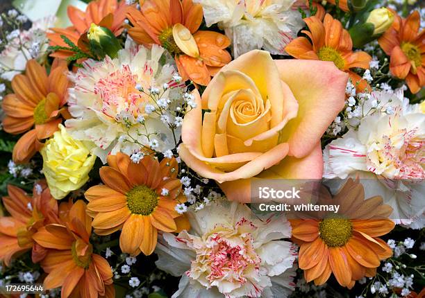 Shades Of Сентября Цветы — стоковые фотографии и другие картинки Букет - Букет, Оранжевый, Ароматический