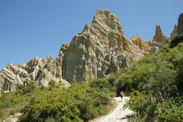 istock Clay cliffs of New Zealand 172695993
