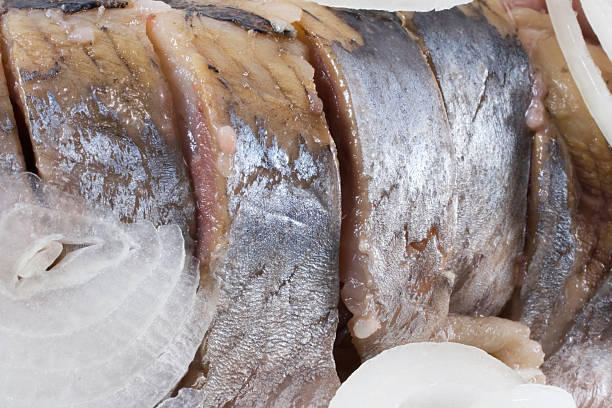 istock Close-up of salted herring with onion 172696037