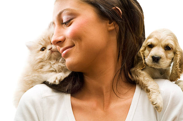 j'adore, - dog domestic cat pets women photos et images de collection