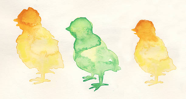Little watercolor chicks with multiple colors and nice paper texture. Very high quality scan.