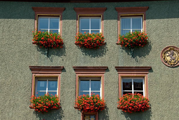 Six windows of Bavarian townhouse decorated with hanging red geraniums in summer