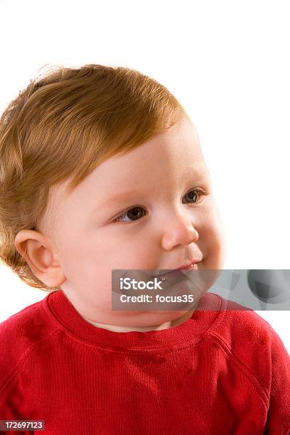 Baby Stock Photo - Download Image Now - 12-17 Months, 6-11 Months, Baby - Human Age