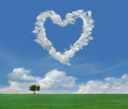 Lonely tree and green field landscape with clouds in the shape of heart.