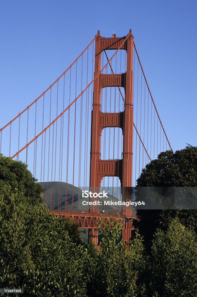 Stanchion ponte Golden Gate - Royalty-free Baía de São Francisco Foto de stock