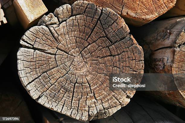 Jahresringe Foto de stock y más banco de imágenes de Madera - Material - Madera - Material, Anillo de árbol, Abstracto