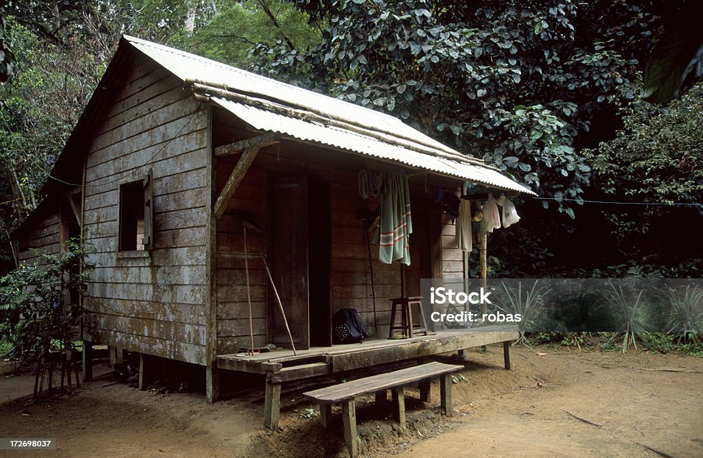 Sala de estar da casa em Madagascar selva - Foto de stock de Agricultura royalty-free