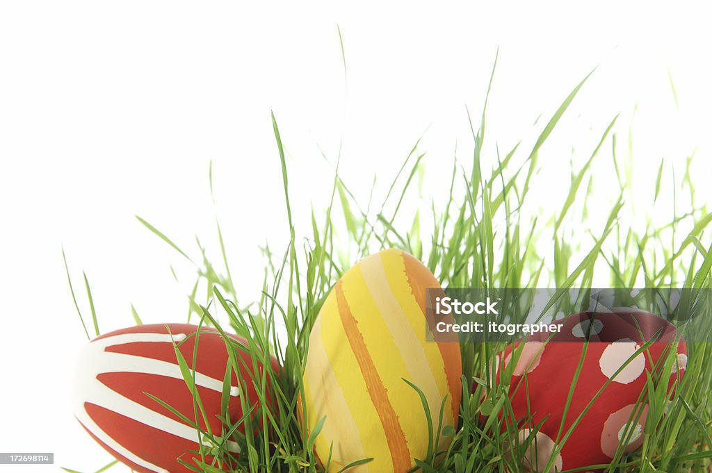 カラフルなイースター卵の芝生 - イースターのロイヤ��リティフリーストックフォト