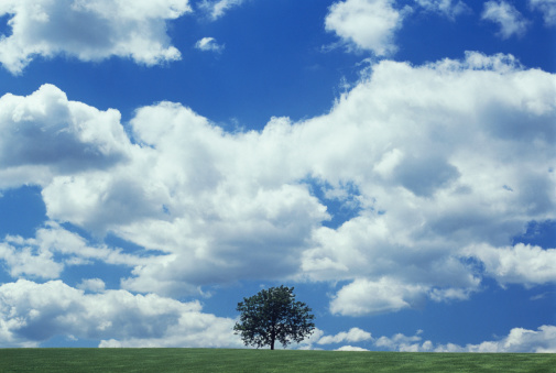 Landscape with tree and clouds