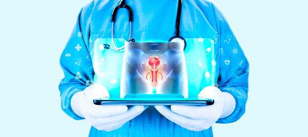 Male reproductive system. Erectile dysfunction, priapism, Peyronie's disease, The doctor shows the x-ray of the man's pelvic area. Analyze the male reproductive system on a light blue background