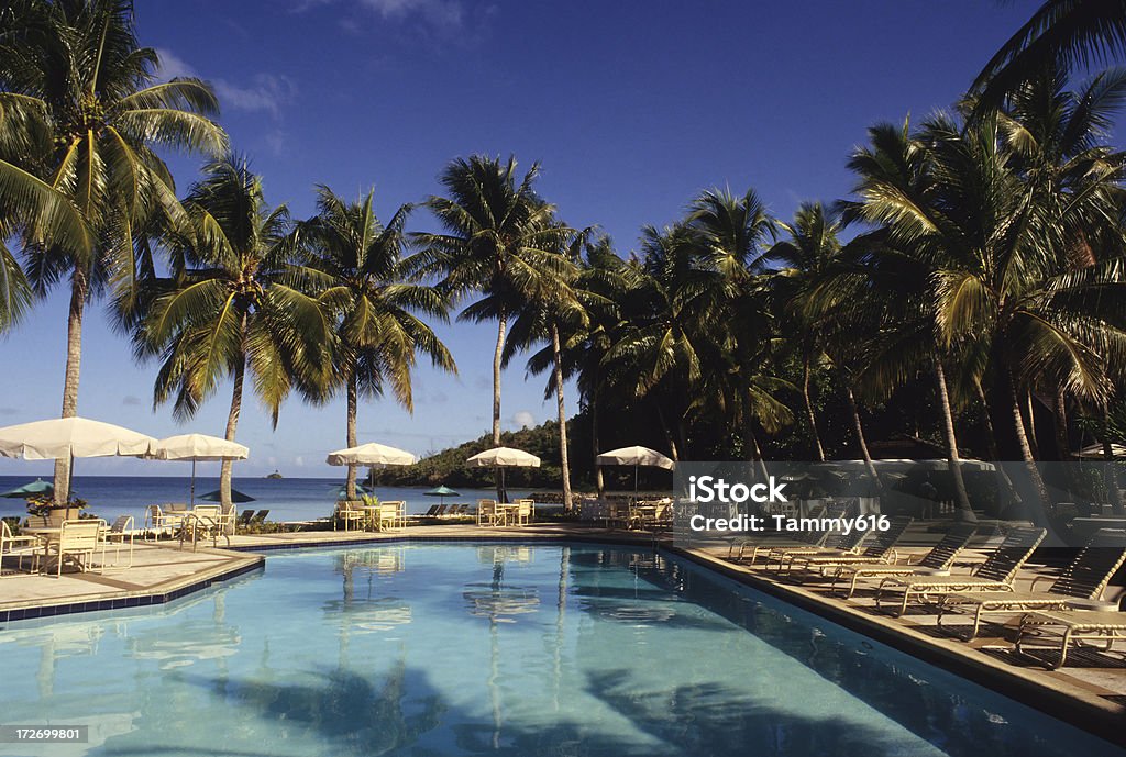 Piękny basen Resort - Zbiór zdjęć royalty-free (Hotel)