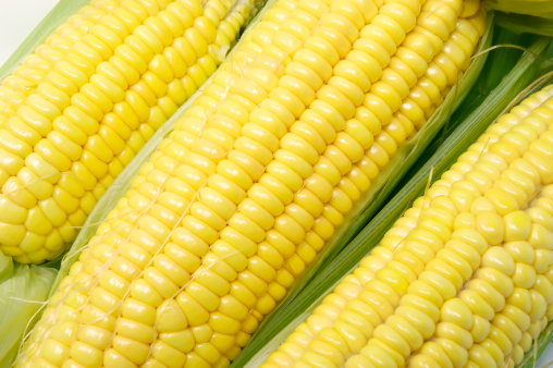 Peeled back fresh sweet corns.Click to see more: