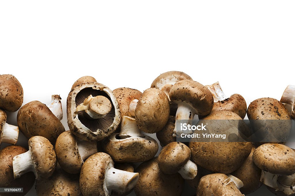 Portabello Mushroom Border - Royalty-free Portobello Stockfoto