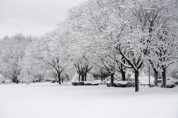 istock Snow Covered Park In Winter 172700615