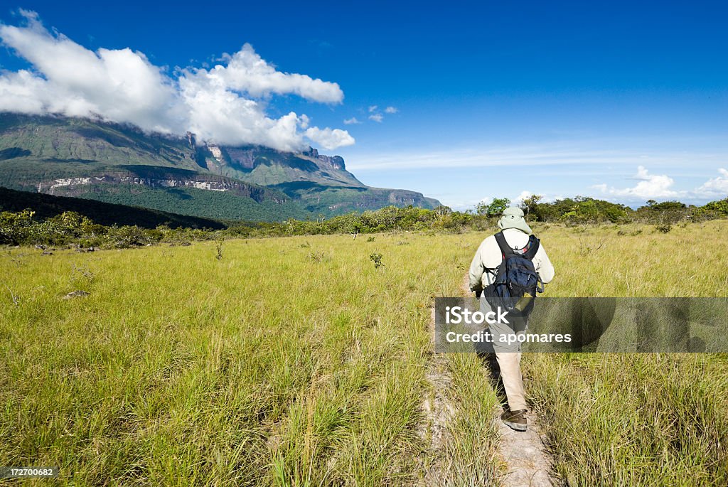 Explorer walking on a plain Plain of the Kamarata Valley at the Auyan Tepuy, Venezuela. Adventure Stock Photo