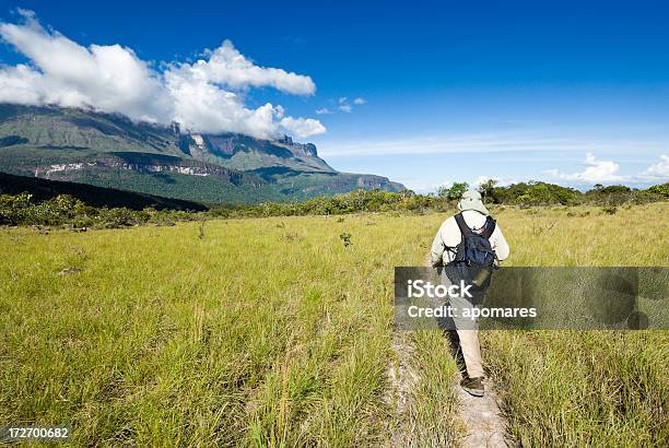 Explorer Walking On A Plain Stock Photo - Download Image Now - Adventure, Auyán-tepui, Backgrounds