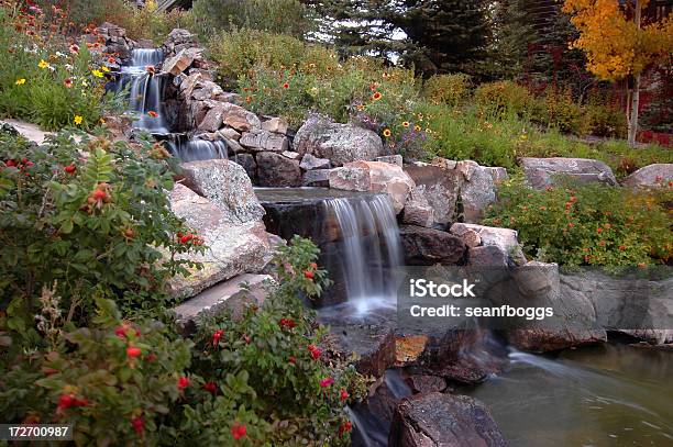 Bounding Creek In Landschaft Stockfoto und mehr Bilder von Architektonisches Detail - Architektonisches Detail, Blume, Fels