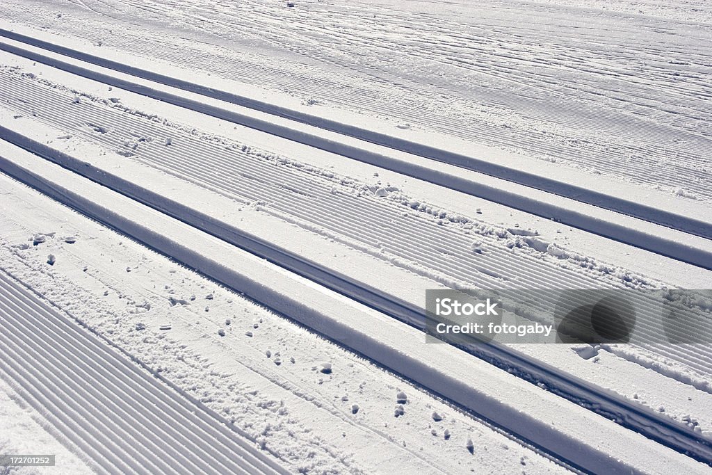 크로스 컨트리 스키 실행 - 로열티 프리 스키 마라톤 스톡 사진
