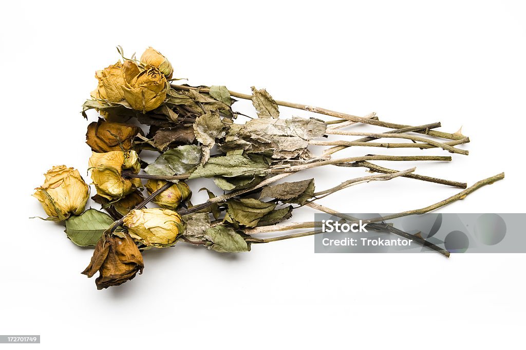 Dead Bouquet de Roses - Photo de Fleur - Flore libre de droits