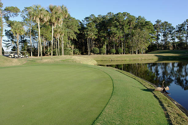 istock Putting Green Fringe & Bird 172701834