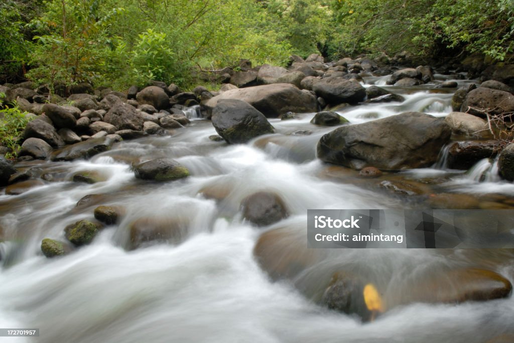 Creek no Vale de Iao - Foto de stock de Arbusto royalty-free