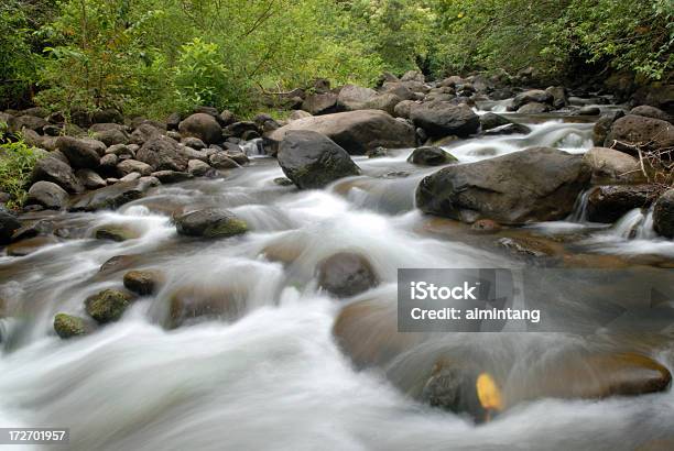 Foto de Creek No Vale De Iao e mais fotos de stock de Arbusto - Arbusto, Cascata, Curso de Água