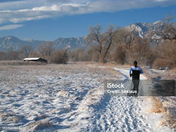 Correr En La Nieve Foto de stock y más banco de imágenes de Denver - Denver, Carrera de campo través, Colorado