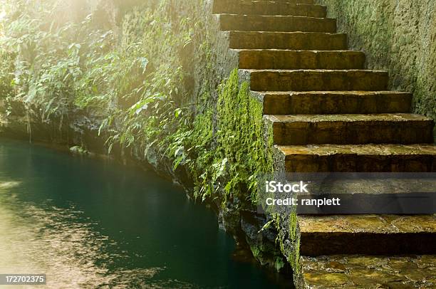 Scala Della Metropolitana - Fotografie stock e altre immagini di Scalinata - Scalinata, Calcare, Muschio - Flora