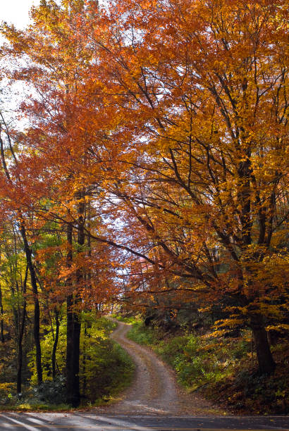 istock Autumn on Blue Ridge Parkway 172702444