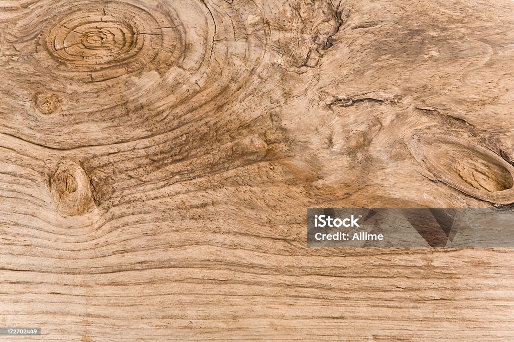 Legname trasportato dalla corrente - Foto stock royalty-free di Albero