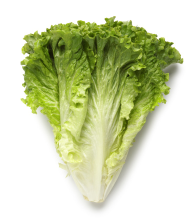 Green leaf lettuce on white with soft shadow