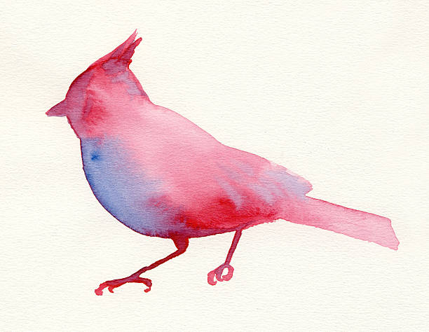 Painted red and purple watercolor bird stock photo