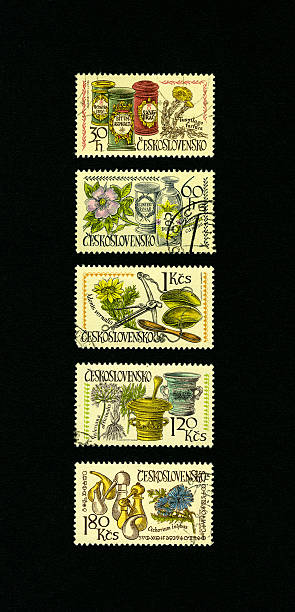 istock Postage Stamps: Medical Plants from Czechoslovakia 172702751