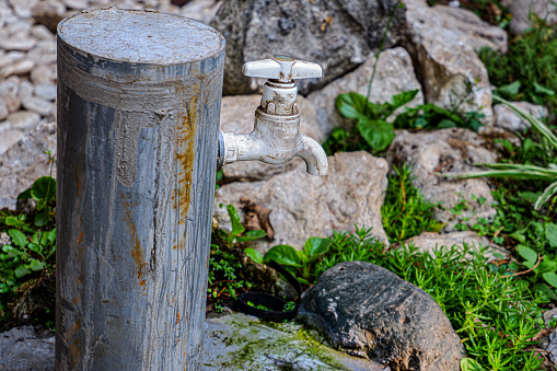a water tap in the garden, a water tap for watering the garden.