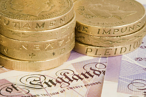 istock Stack of British pounds with coins and bills 172703104