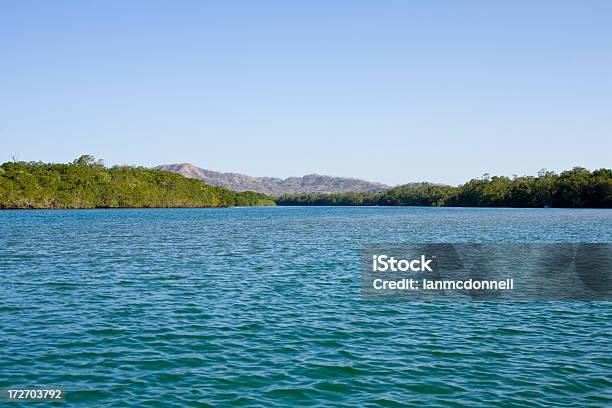 Estuário - Fotografias de stock e mais imagens de Ao Ar Livre - Ao Ar Livre, Azul, Beleza natural