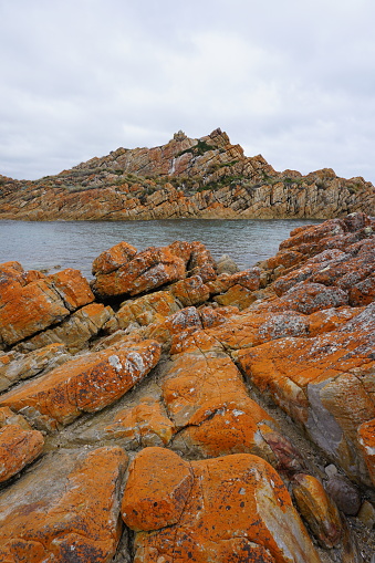 Dramatic red rocks at rugged coastline along Tarkine Drive, West Coast, Tasmania, Australia