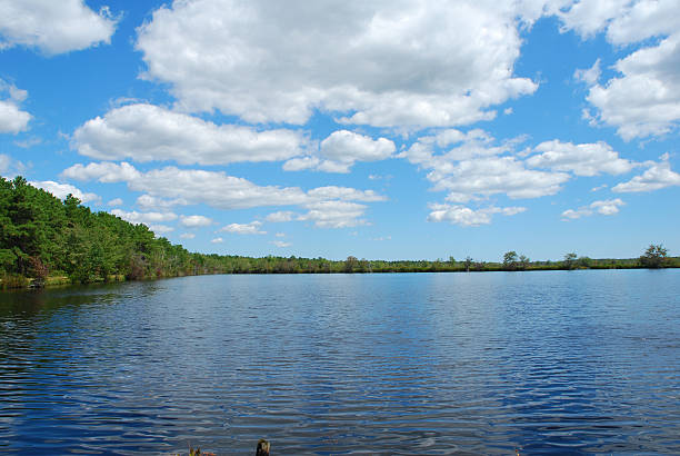 istock summer at the lake 172704546