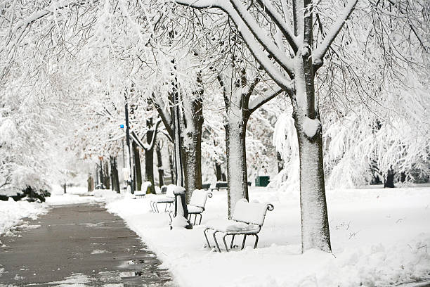 coberta de neve park - boston winter snow massachusetts - fotografias e filmes do acervo
